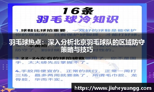 羽毛球热点：深入分析北京羽毛球队的区域防守策略与技巧