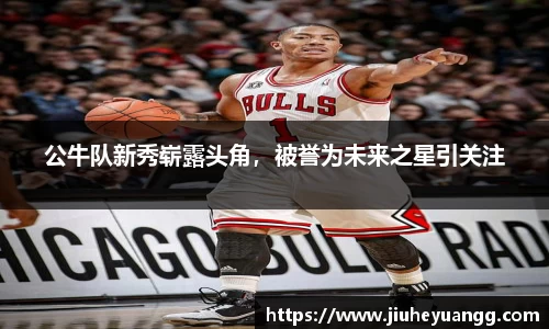 球速体育平台登录入口
