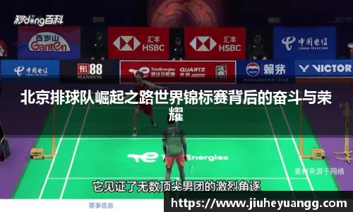 北京排球队崛起之路世界锦标赛背后的奋斗与荣耀