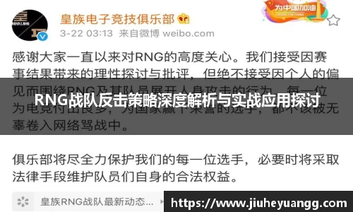 RNG战队反击策略深度解析与实战应用探讨